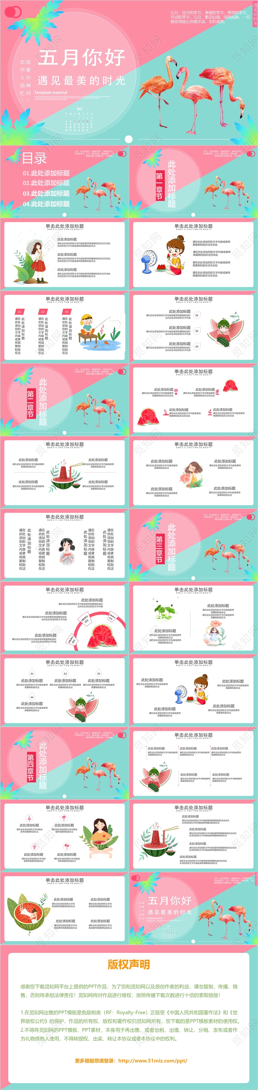 粉色火烈鸟风五月你好遇见最美的时光主题ppt模板你好五月