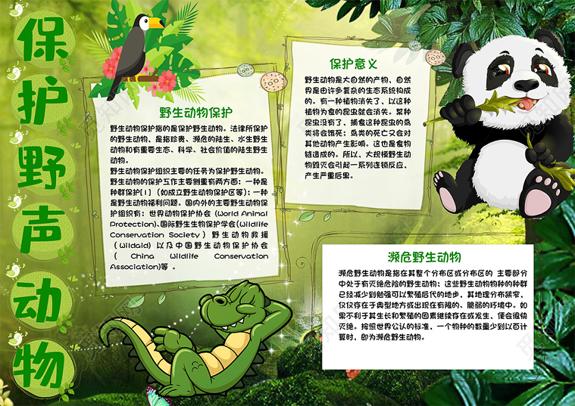 绿色背景可爱卡通森林动物插画保护野生动物小报手抄报