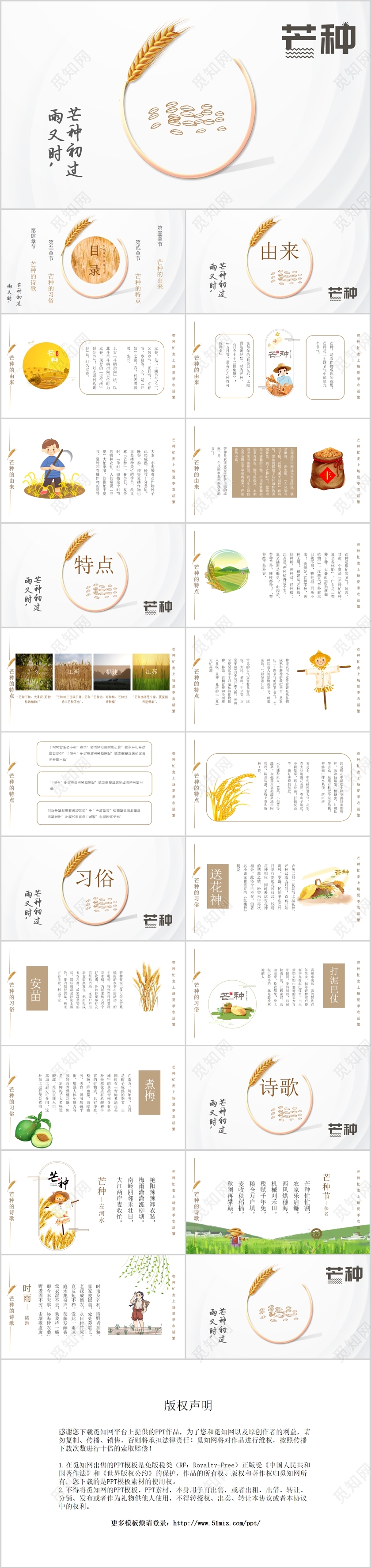 白色简约风二十四节气之芒种节日介绍