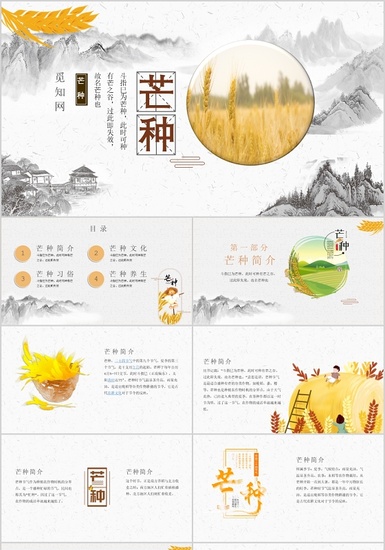 浅色创意传统芒种节气节日介绍PPT模板