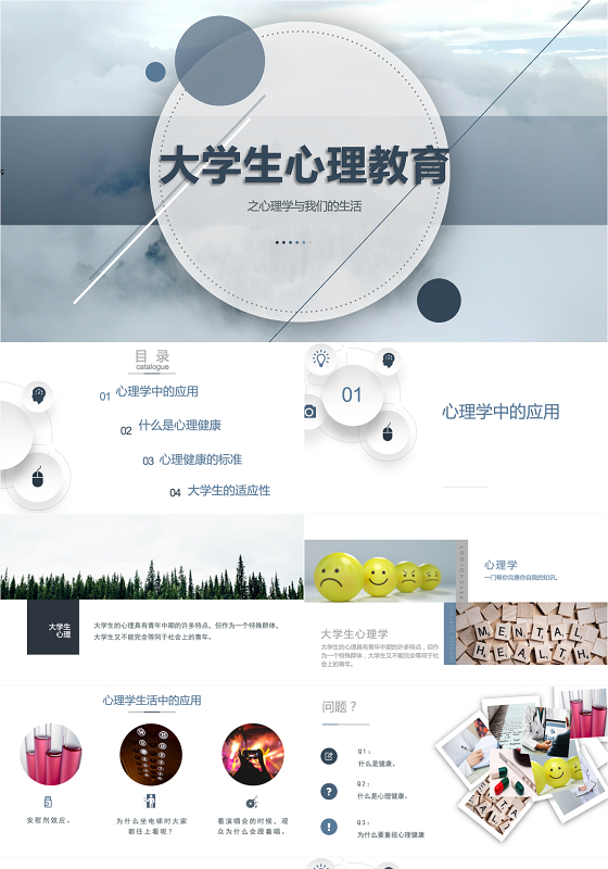 蓝灰色学术风心理健康大学生心理教育PPT模版心理学