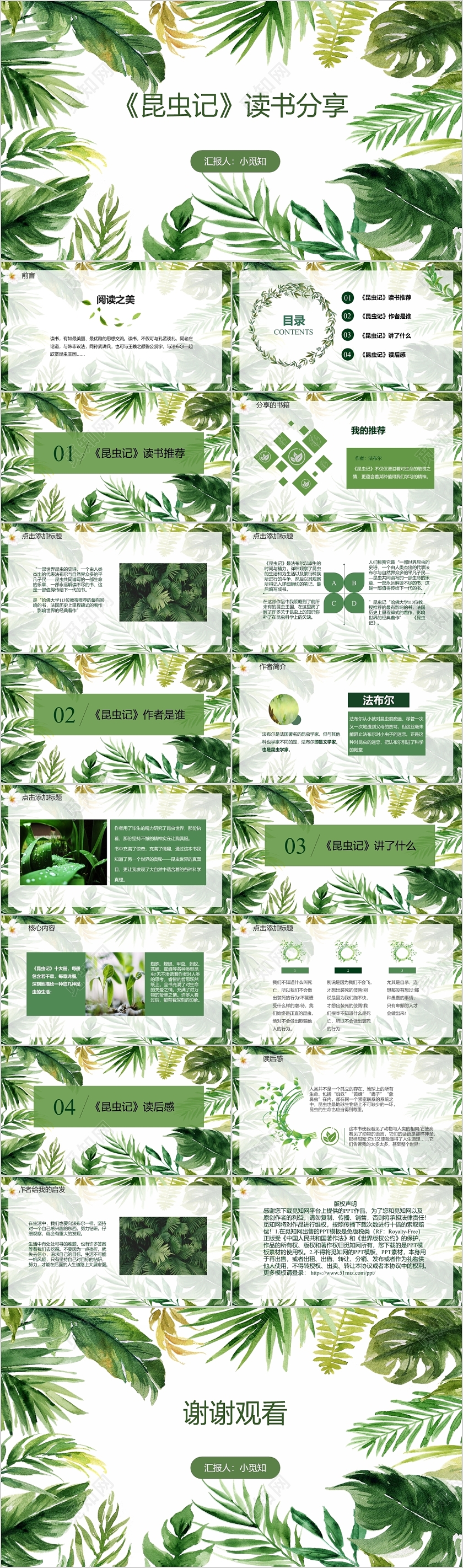 绿叶夏日读书分享语文课件PPT昆虫记ppt