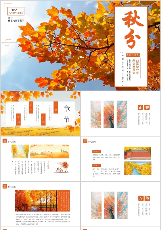 白色自然风格秋分中国传统二十四节气PPT模板