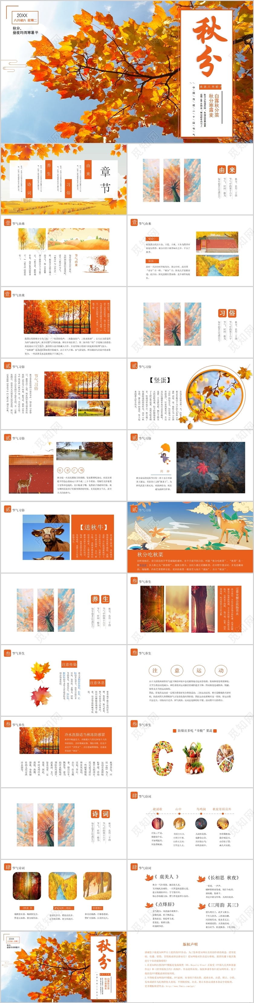 白色自然风格秋分中国传统二十四节气PPT模板