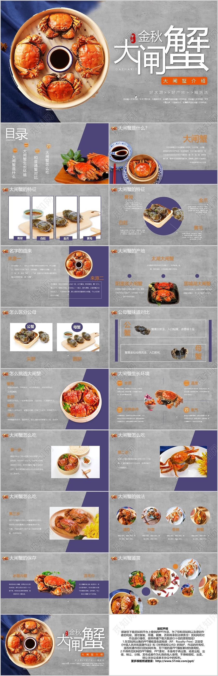 橙色金秋大闸蟹介绍PPT模板宣传PPT动态PPT
