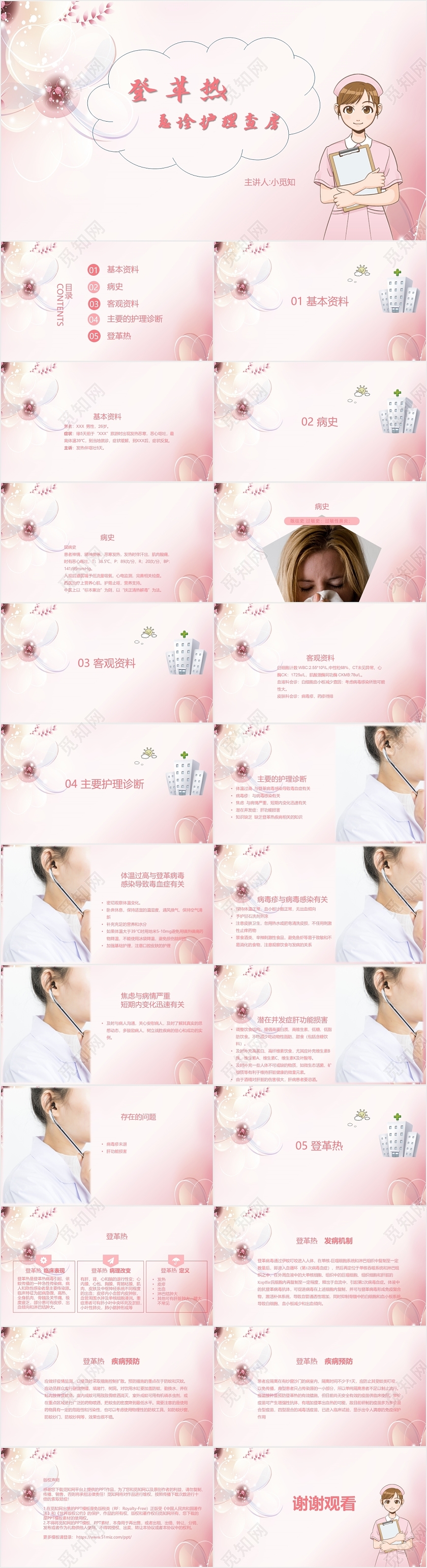 粉色经典护理工作总结PPT模板登革热ppt