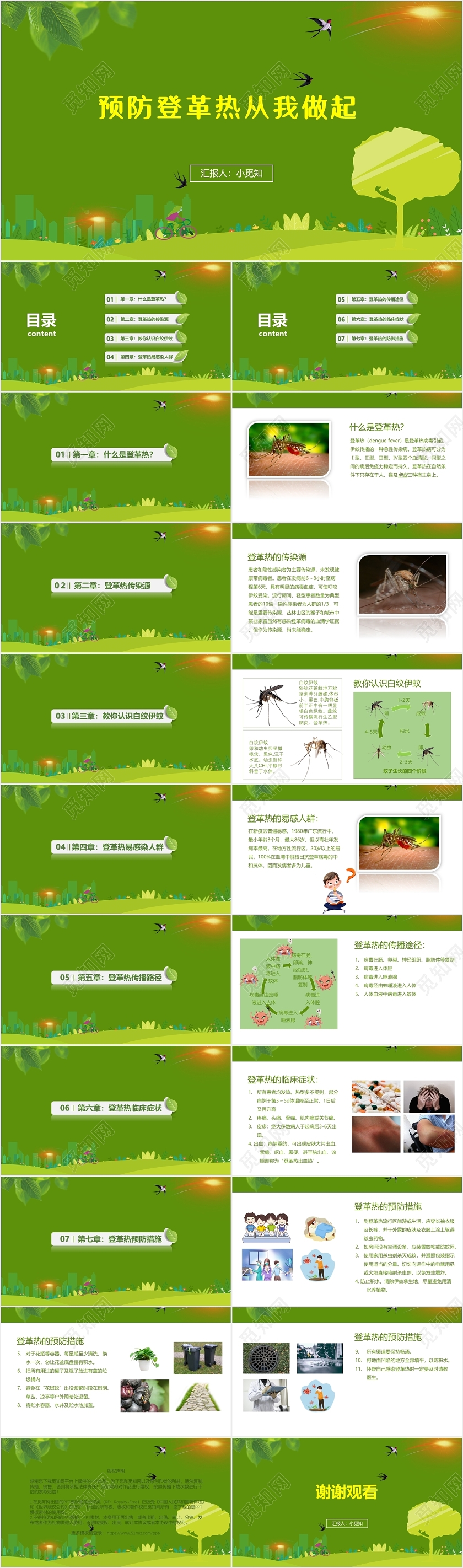 绿色经典医学课件PPT登革热ppt