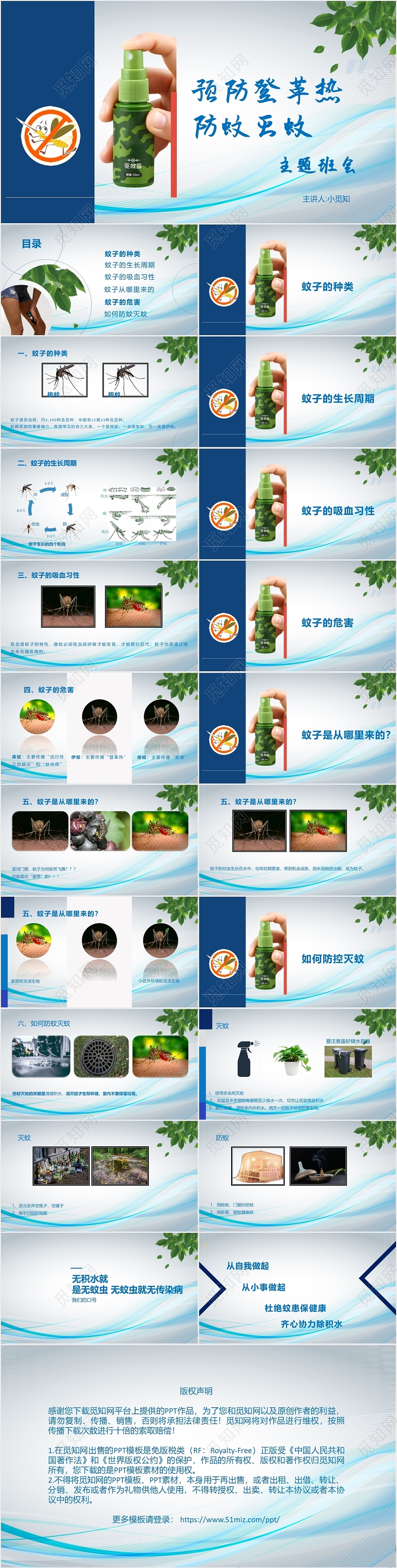 蓝色经典工作总结PPT模板登革热ppt