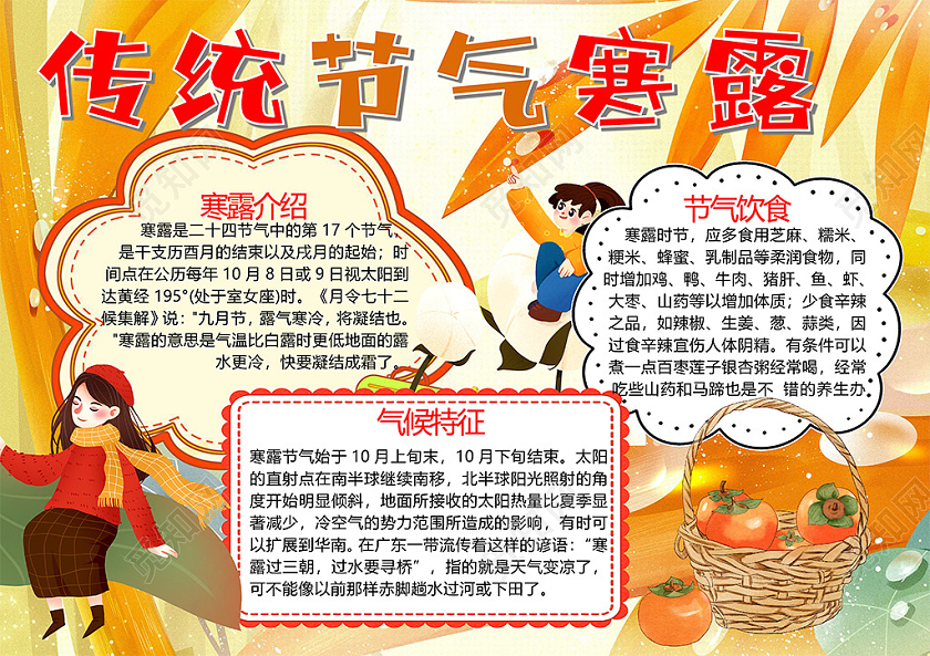 传统节气寒露节气饮食柿子秋季小报