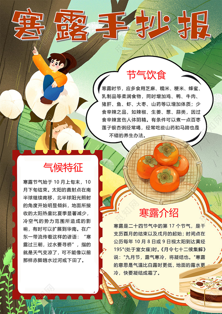 传统节气寒露节气饮食柿子秋季小报