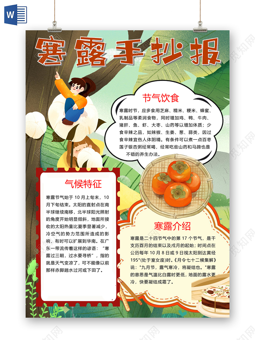 传统节气寒露节气饮食柿子秋季小报