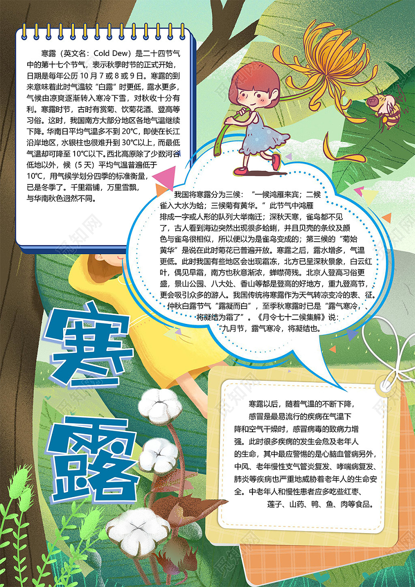 卡通二十四节气寒露秋季鸿雁秋菊登高莲子山药小报