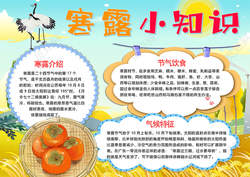 卡通二十四节气寒露节气食物棉絮秋季气候特征柿子小报