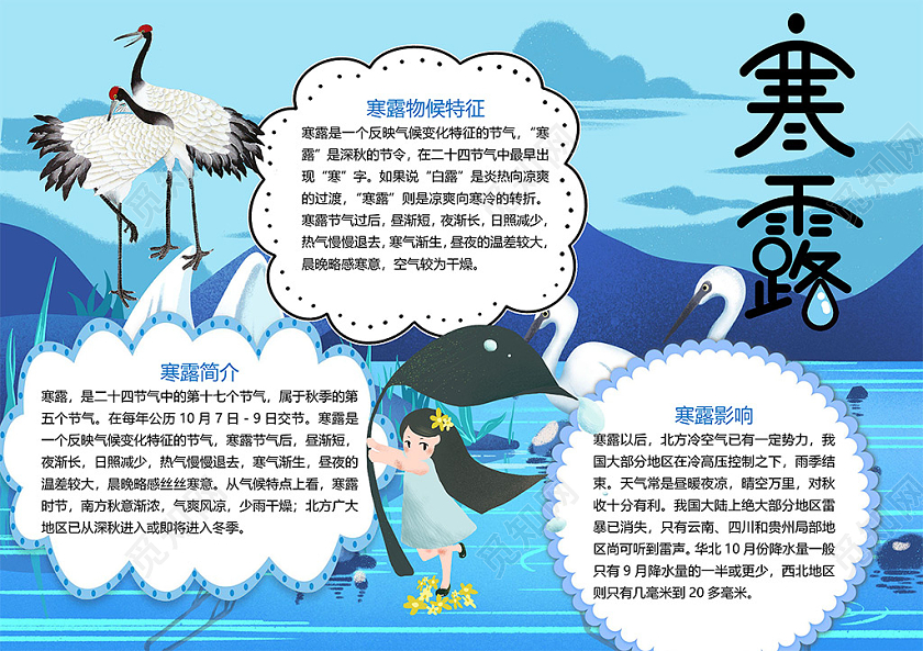 卡通二十四节气寒露节气食物棉絮秋季气候特征柿子小报