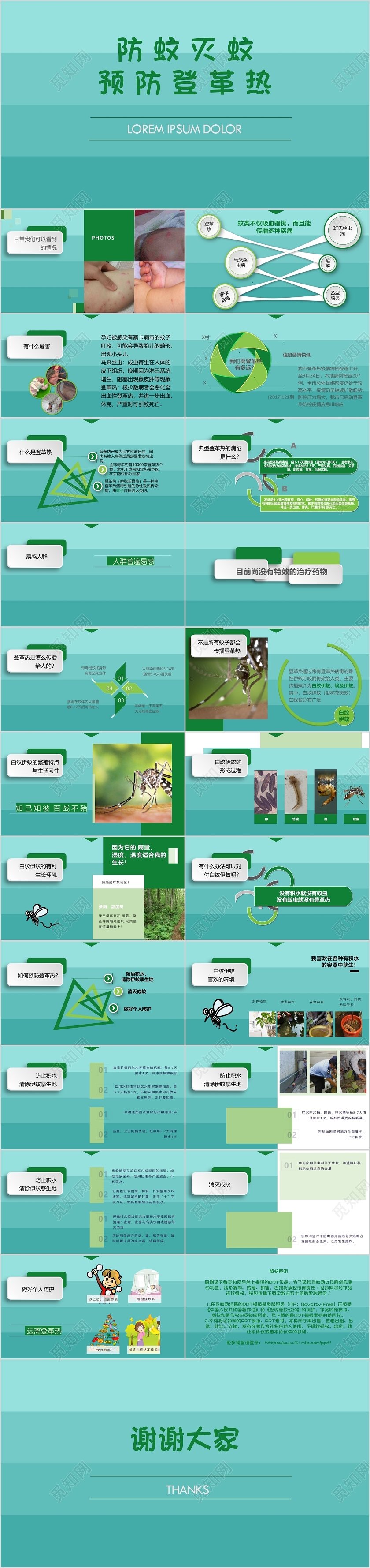 绿色简约风预防登革热课件PPT模板