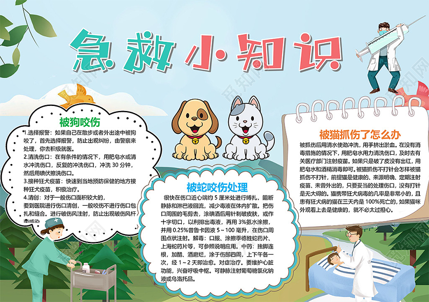 卡通急救小知识宠物狗咬伤蛇咬伤猫抓伤小报