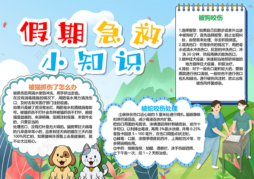 卡通假期急救小知识宠物狗咬伤蛇咬伤猫抓伤小报急救