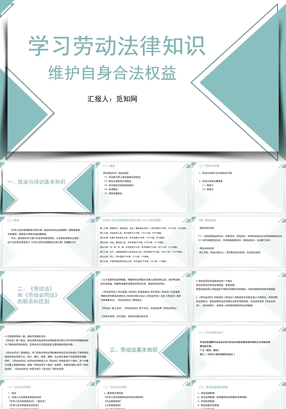 蓝色人力资源法律法规PPT人力资源培训ppt