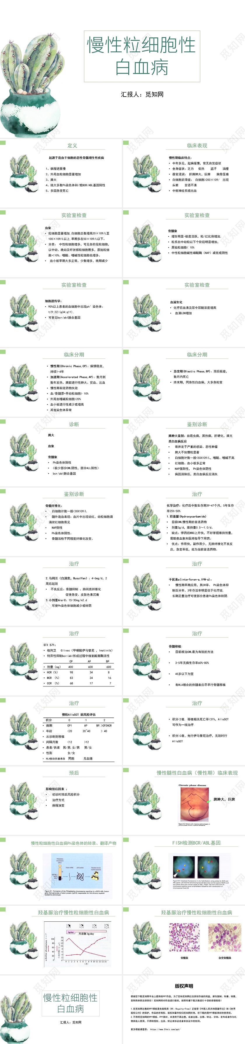 白色背景简约风慢性粒细胞性白血病PPT模板血液科护理查房