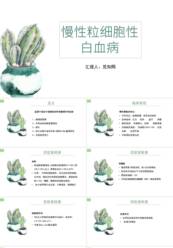 白色背景简约风慢性粒细胞性白血病PPT模板血液科护理查房