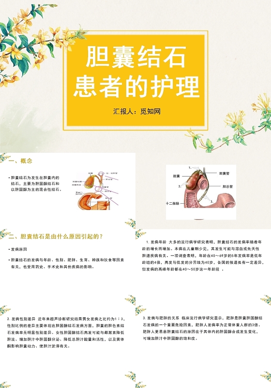 黄色胆囊结石患者的护理胆囊结石护理查房