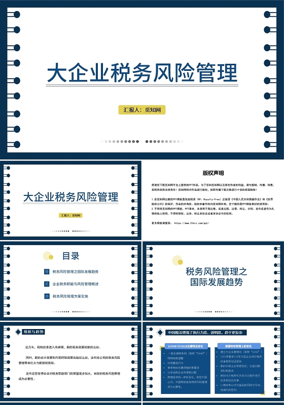 蓝色大企业税务风险管理财务培训