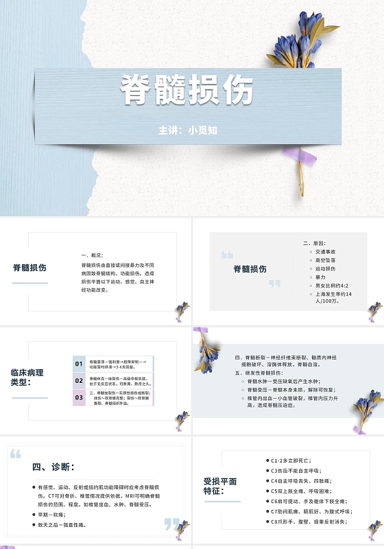 青色简约清晰医学脊髓损伤脊髓损伤ppt