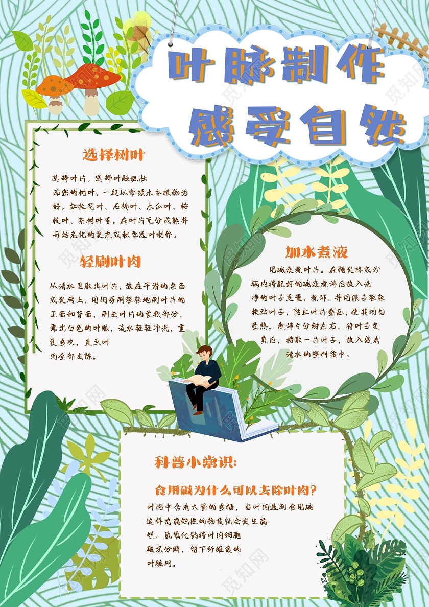 绿色卡通叶脉制作感受自然植物大自然叶脉制作手抄报