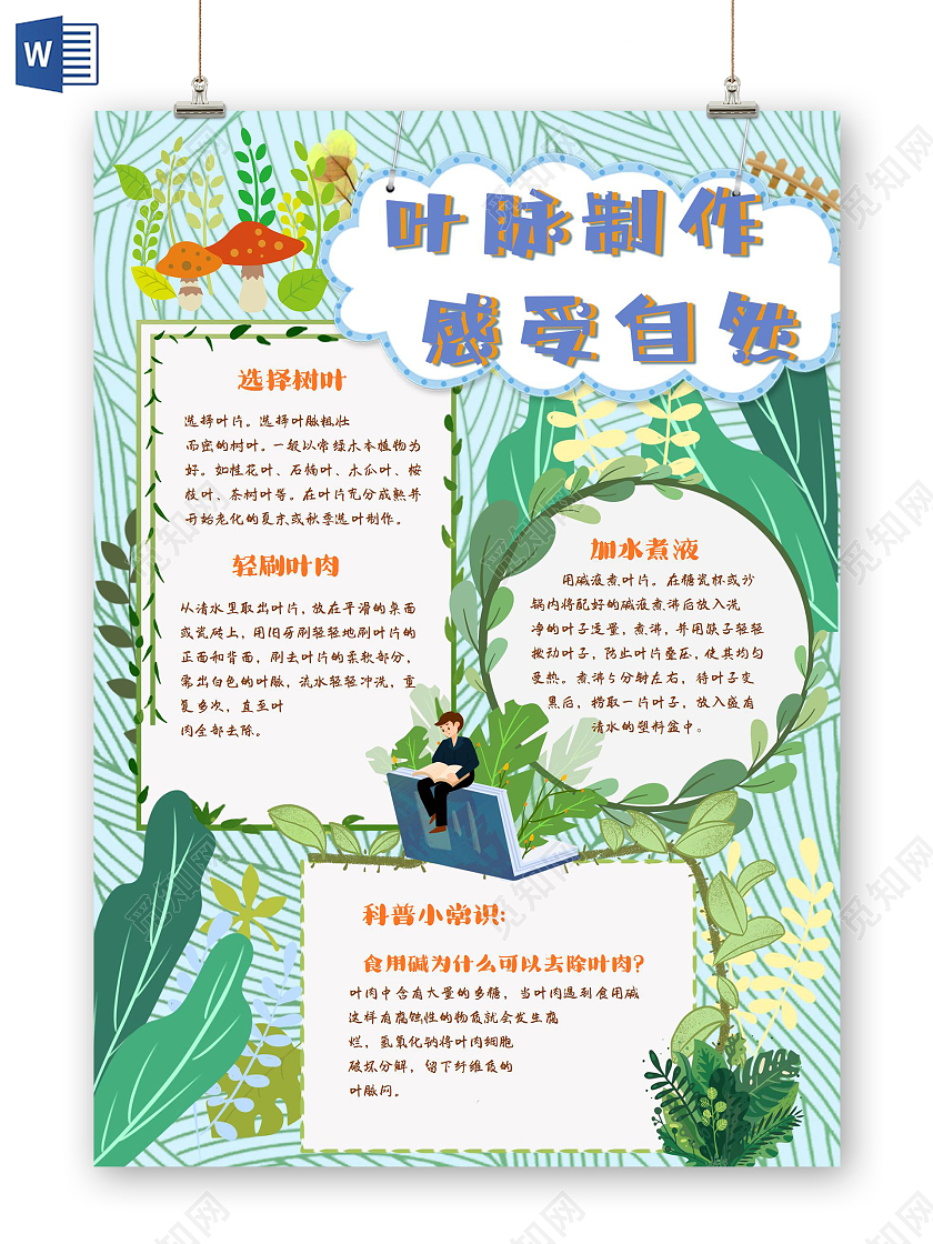 绿色卡通叶脉制作感受自然植物大自然叶脉制作手抄报