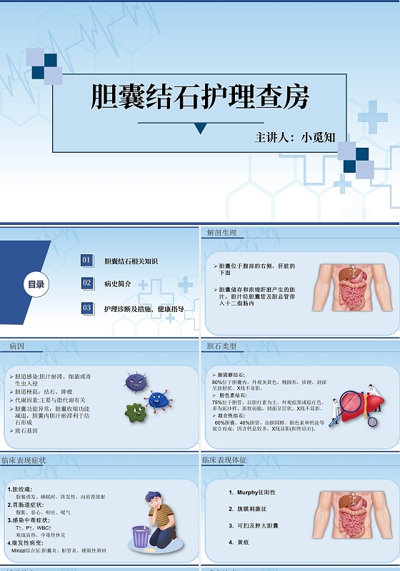 蓝色简约实用通用胆囊结石护理病房护理工作总结胆囊结石护理查房