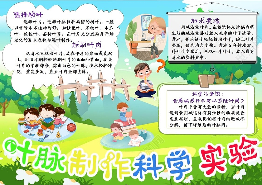 绿色叶脉制作科学实验