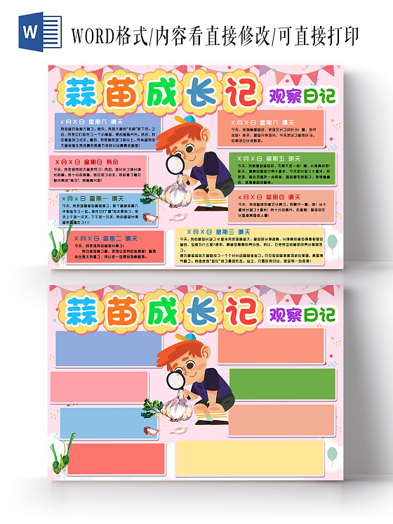 粉色卡通背景蒜苗成长记观察日记小报手抄报