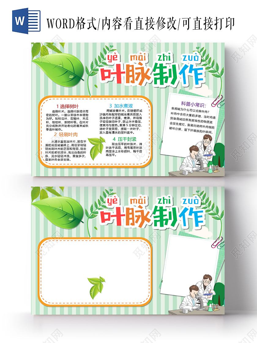 清新叶脉制作科普知识树叶制作流程小报