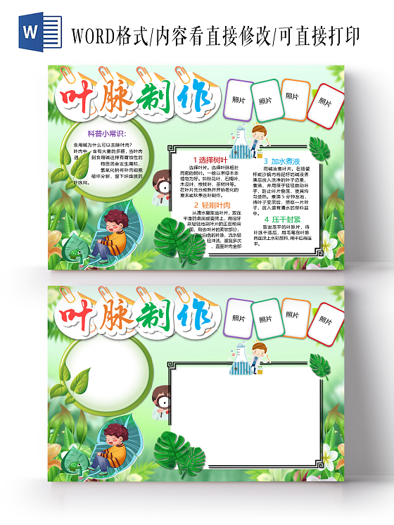 春天叶脉制作树叶叶肉科普小知识树叶加水煮叶小报