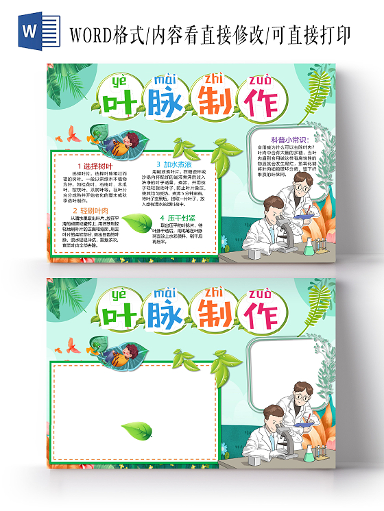 绿色卡通叶脉制作选择树叶轻刷叶肉科普小知识小报