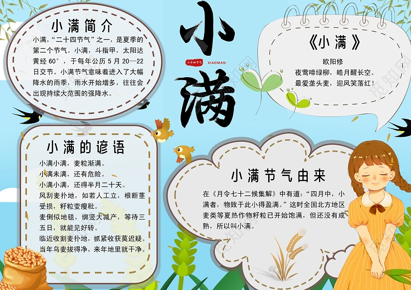 蓝色卡通小满小报手抄报卡通小报手抄报