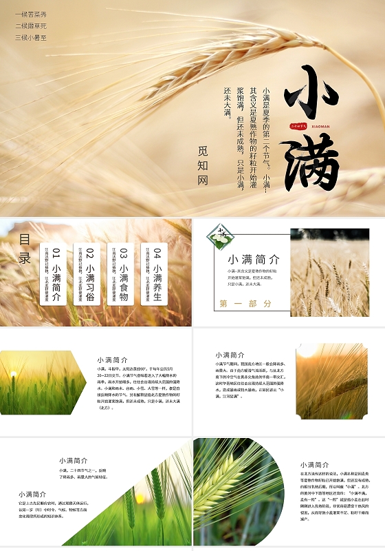 浅色创意传统小满节气介绍PPT模板宣传PPT动态PPT