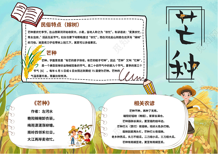 蓝色插画芒种手抄报小报