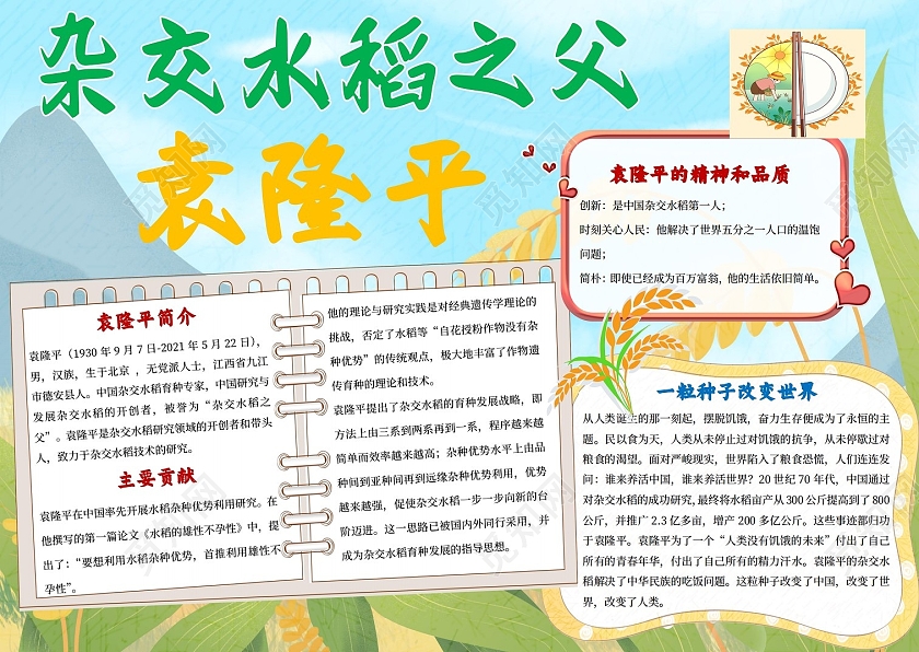 科学家绿色卡通杂交水稻之父袁隆平小报手抄报卡通小报手抄报