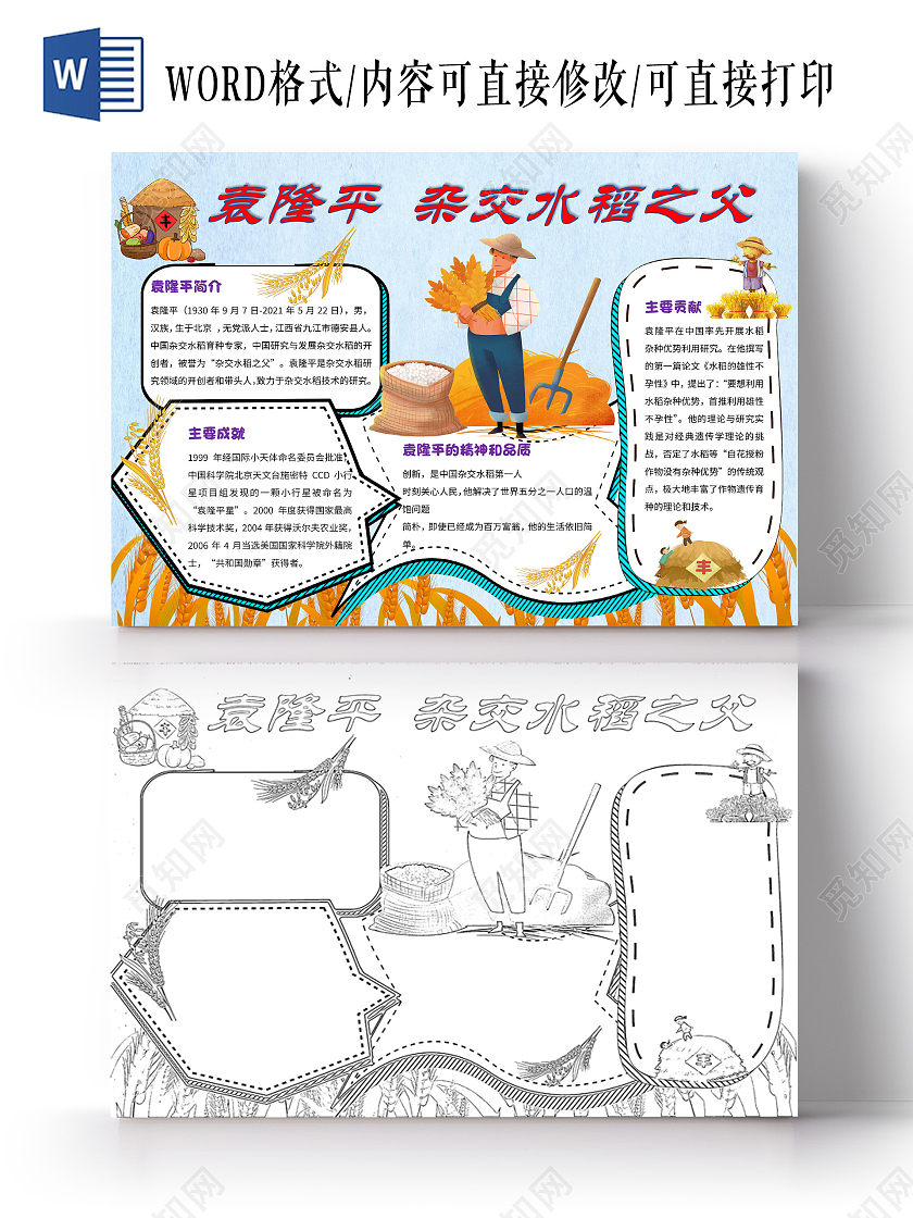 蓝色黄色卡通袁隆平杂交水稻之父小学生小报手抄报