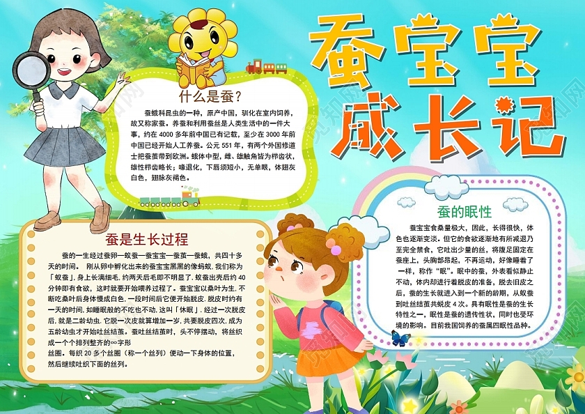 蚕宝宝成长记小报手抄报蚕宝宝观察日记