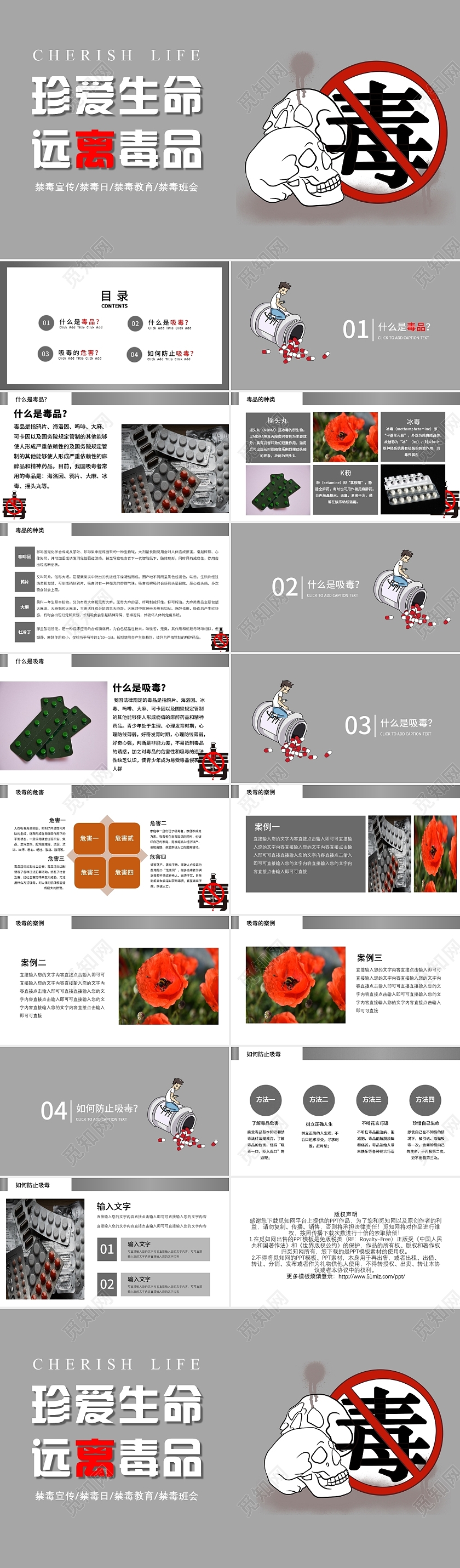 灰色简约珍爱生命远离毒品禁毒ppt模板学校禁毒