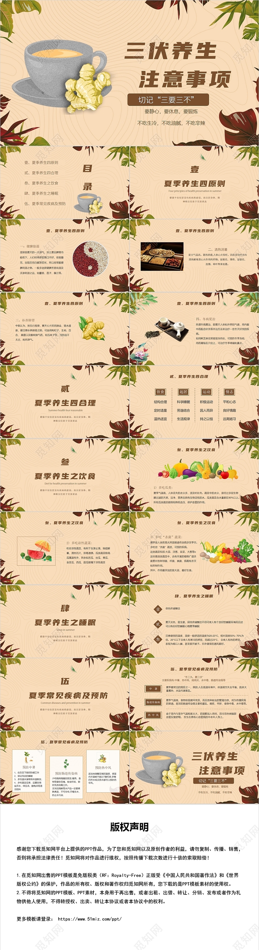 棕色中国风三伏养生注意事项PPT模板中医夏季养生三伏天