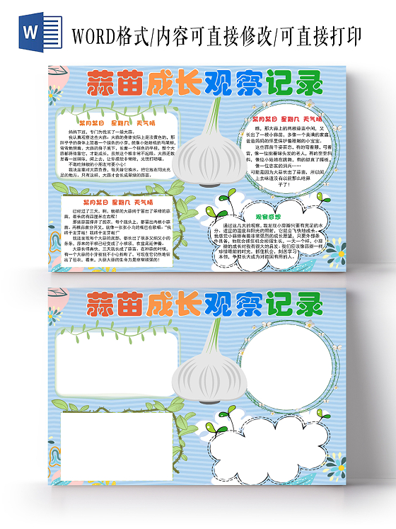 蓝色简约卡通蒜苗成长观察记录手抄报word文档模板