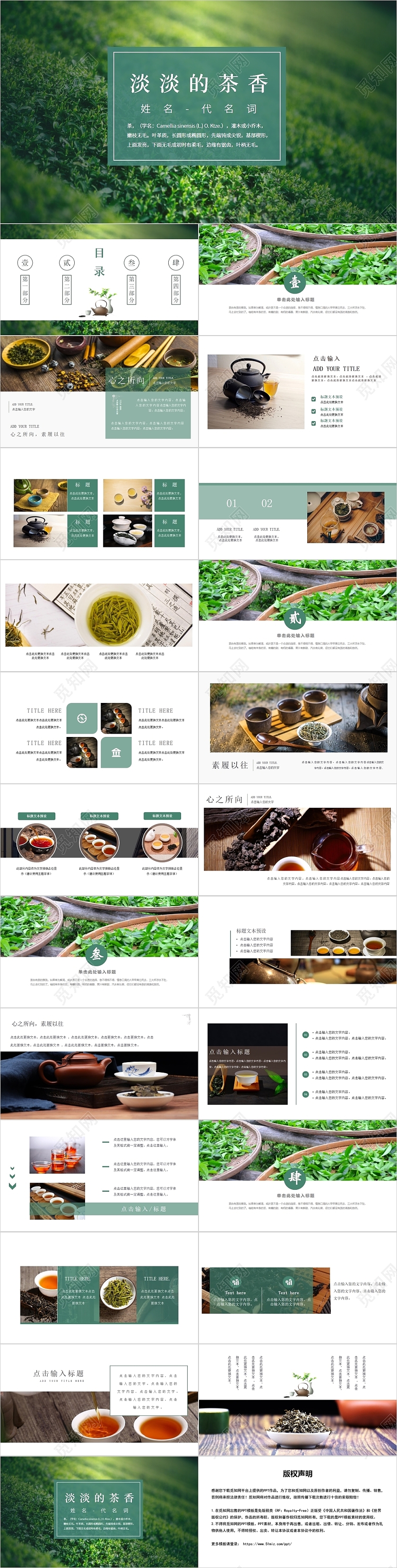 绿色简约风淡淡的茶香茶文化PPT