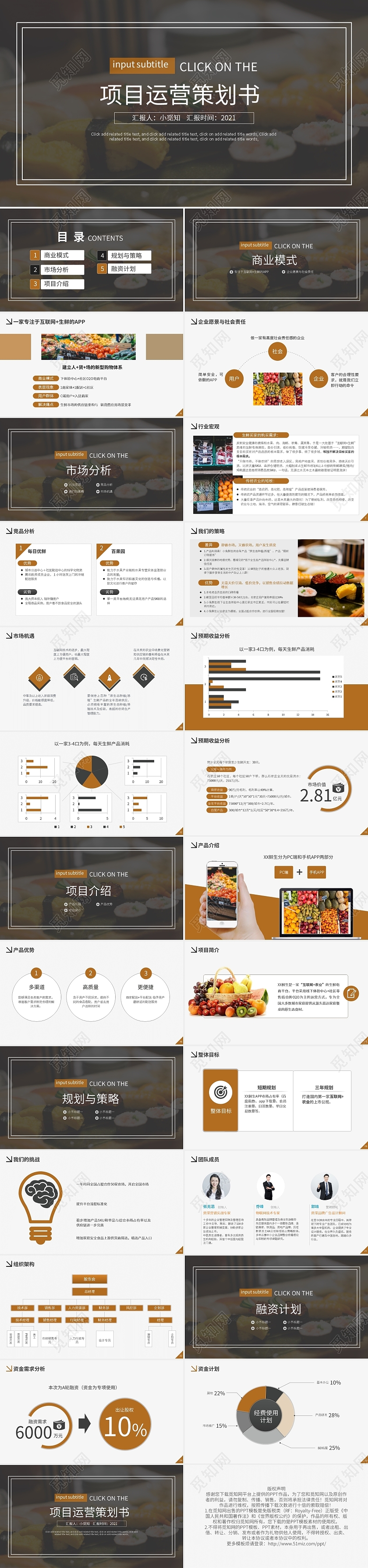 棕色项目运营策划书PPT模板APP产品商业计划书