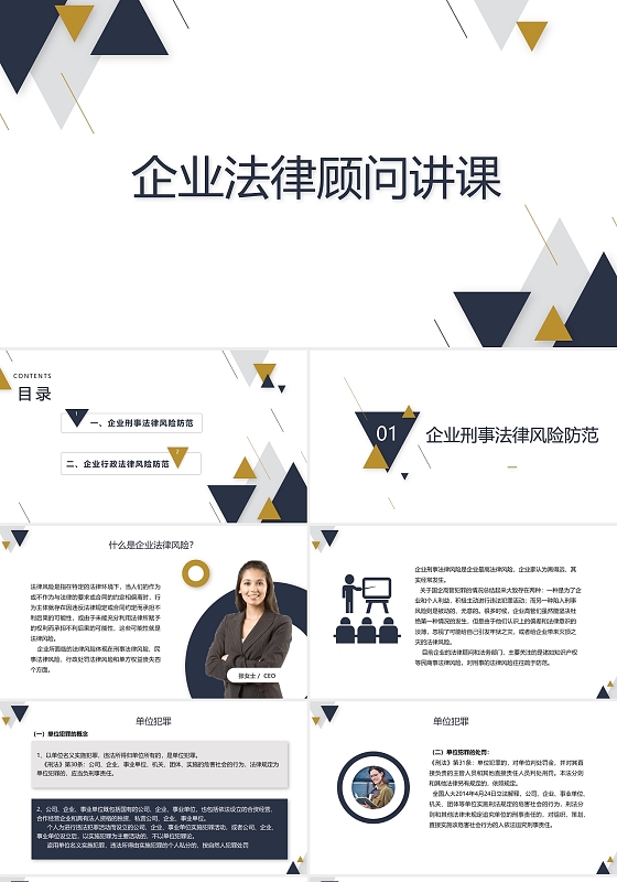 简约风水彩风格企业法律顾问讲课