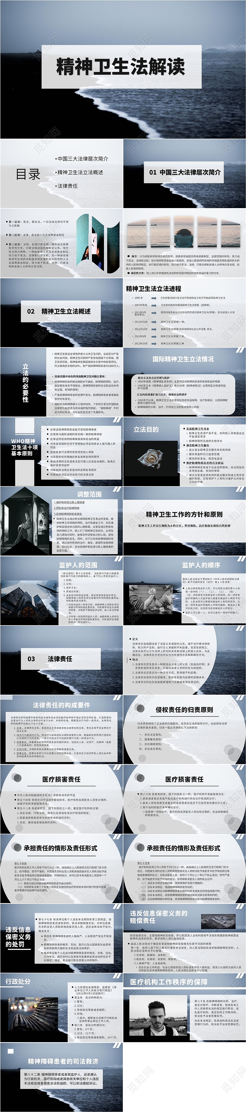 蓝色高级简约商务精神卫生法解读安全教育PPT模板