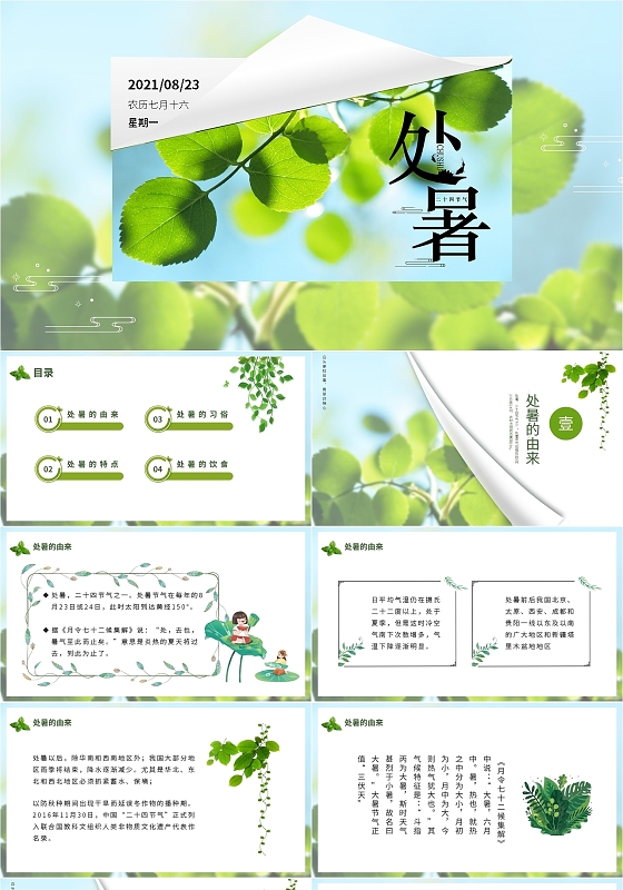 绿色简约处暑二十四节气PPT模板宣传PPT动态PPT