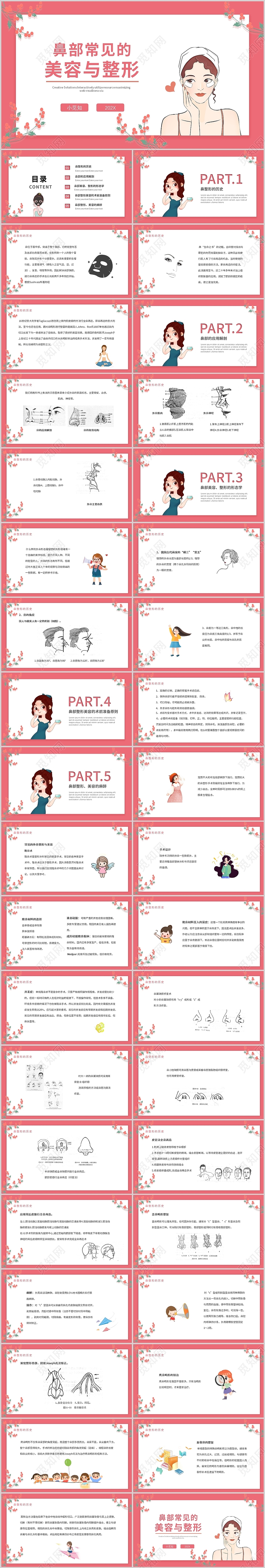 粉色简约卡通风鼻部常见的美容与整形教育说课PPT模板